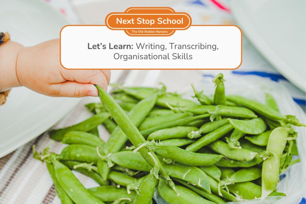 NSS-Home-Resource-Hero-Image-Podding-Peas-1
